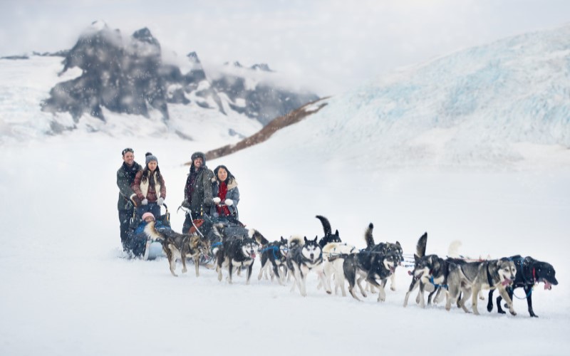 Paisagem toda branca, coberta de neve. Quatro pessoas em pé sobre um trenó, olham em direção a fileira de cachorros do Alasca, que puxam o trenó.