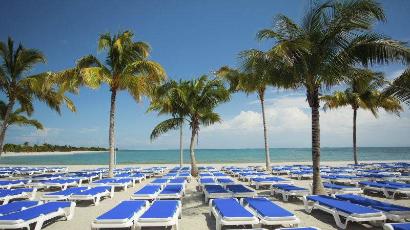 Trecho de areia da Harvest Cay com espreguiçadeiras entre coqueiros e mar raso
