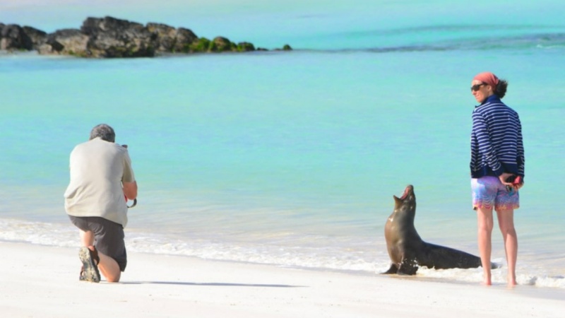 Diversidade ecológica em Galápagos