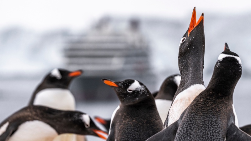 Seabourn expedições 2024