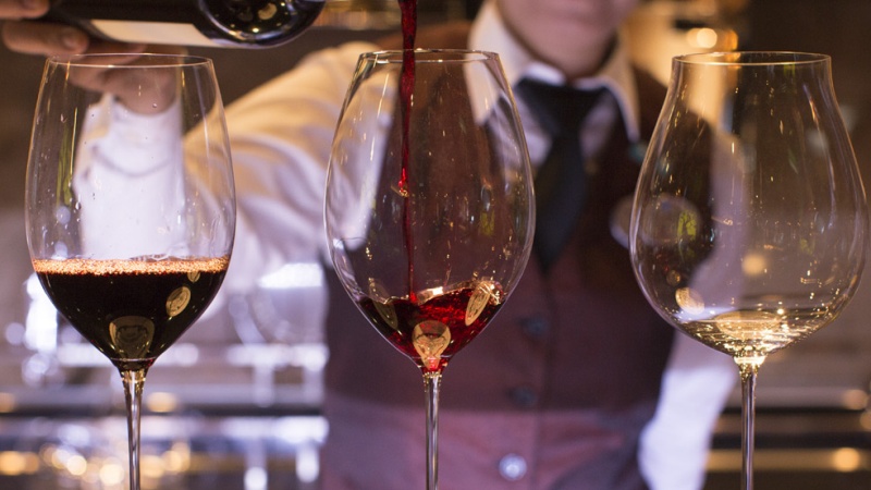 NCL cruzeiros especialistas