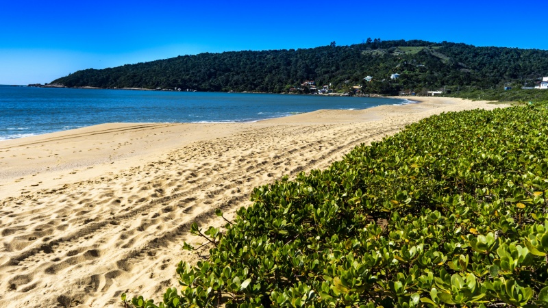 Praia das Taquaras - Balneário Camboriú