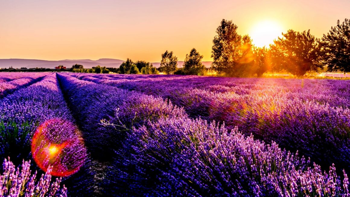Provence