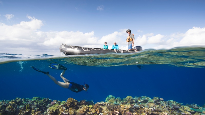 Snorkel em Tadine, New Caledonia