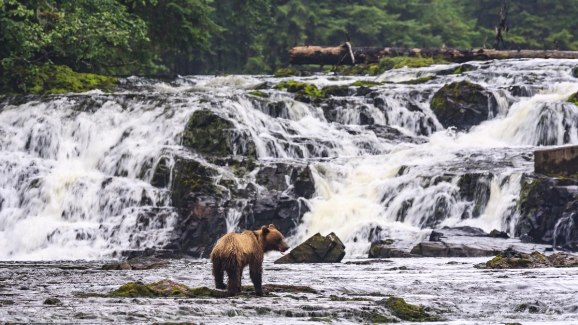 Alasca - Oceania Cruises