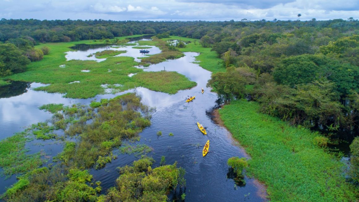 expedições pela Amazônia