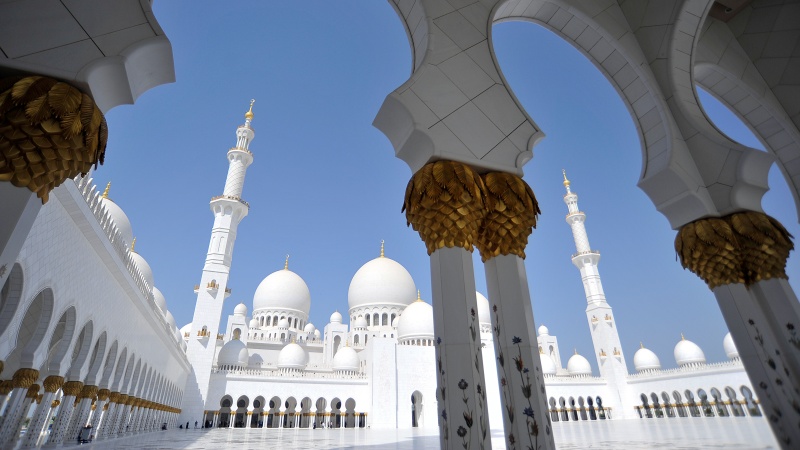 Cruzeiros tendências 2024