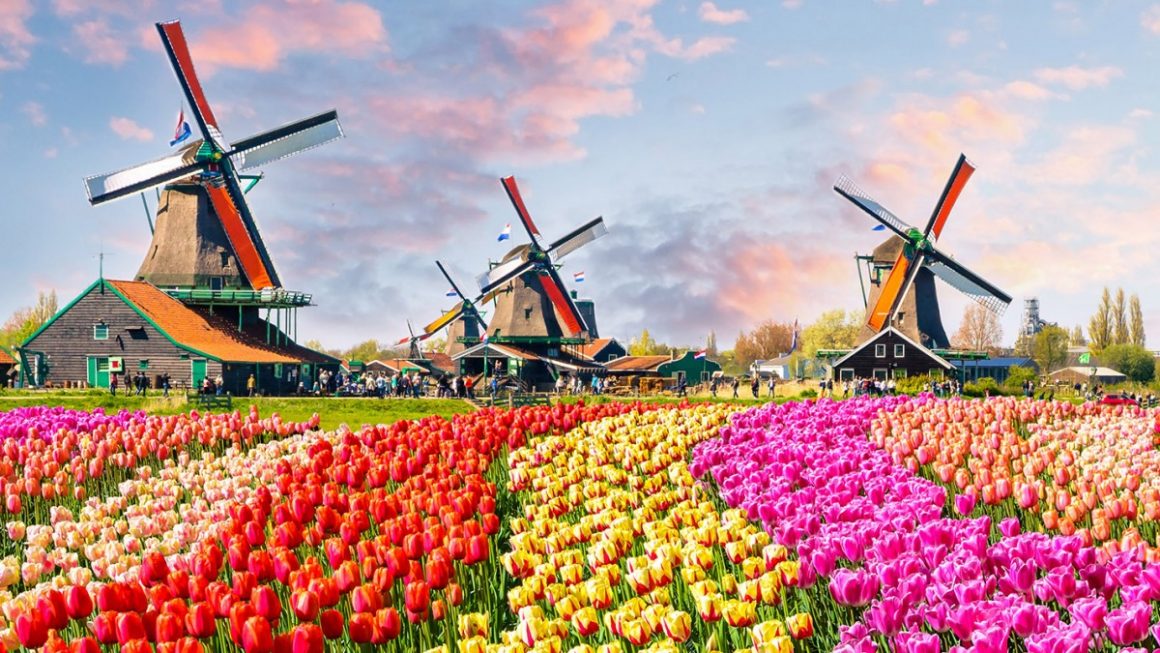 Scenic cruzeiros europa