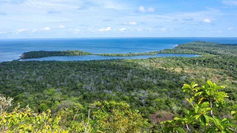 MSC Amazônia - MSC Seaview