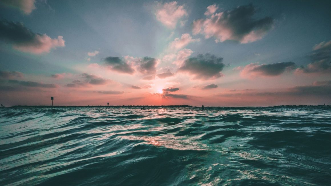 Vida marinha