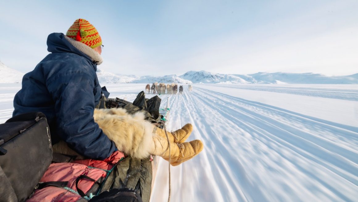 Trenó de cães na Groenlândia