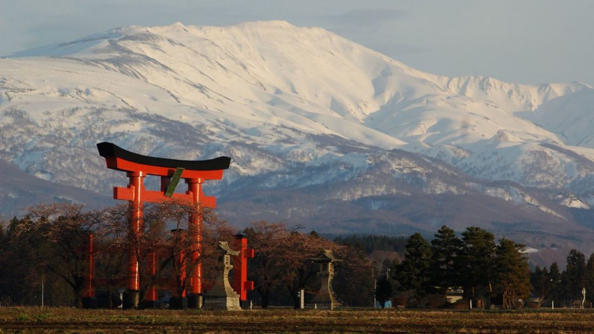 Cruzeiros no Japão