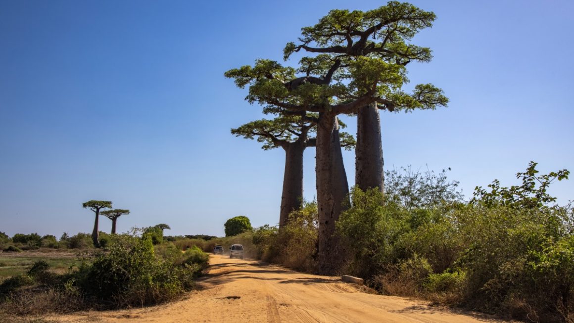Menabe, Madagascar - África
