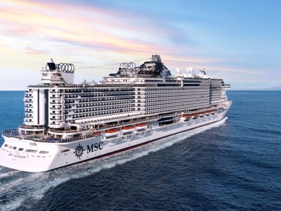 MSC Seaview cruzeiros