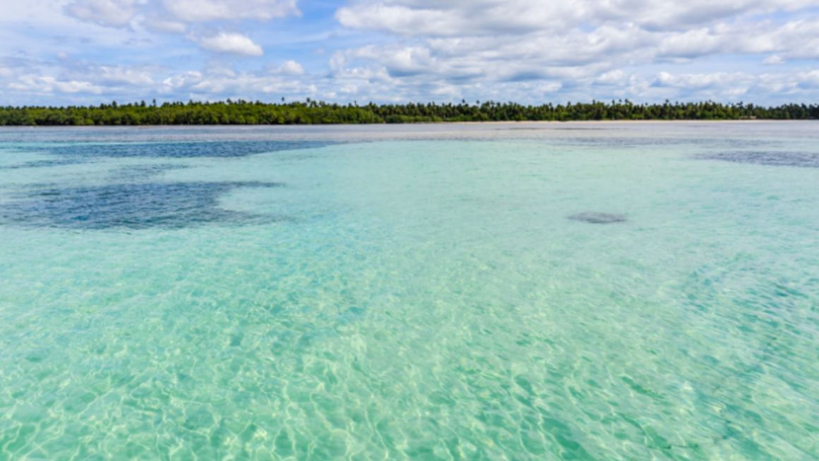 Moreré em Ilha de Boipeba - Bahia