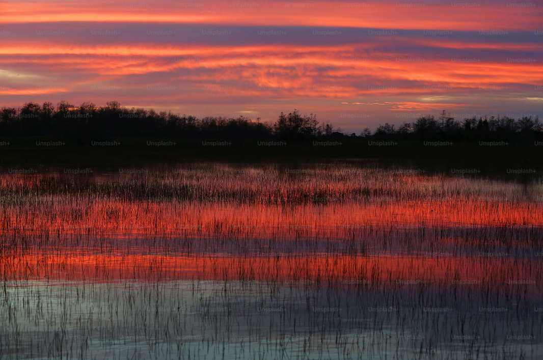 Parque Nacional de Everglades - Miami