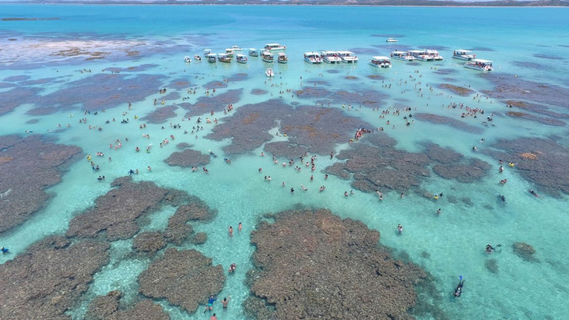Corais de Maragogi em Alagoas