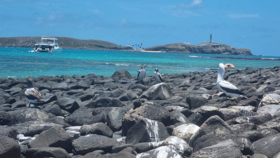 Arquipélago de Abrolhos
