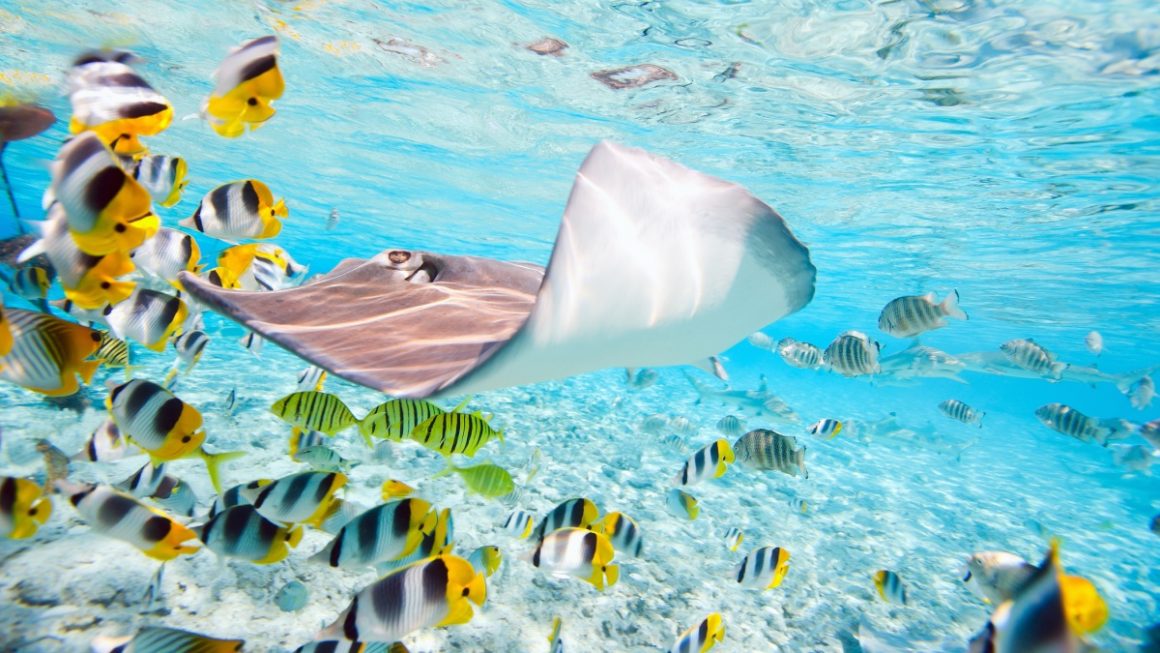 Bora-Bora, Polinésia Francesa