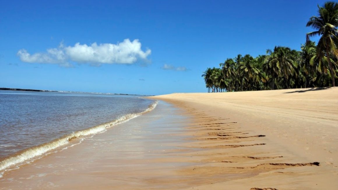 Praia do Gunga em Maceió é parada de cruzeiros