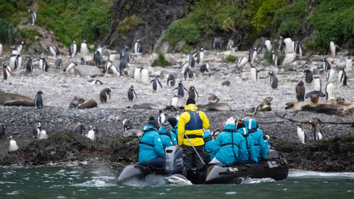 Hercules Bay - Antártica