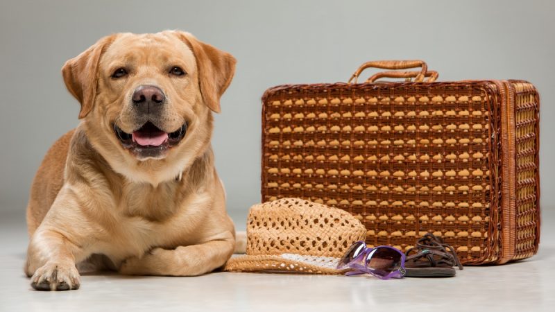 Aguardando a hora de embarcar no cruzeiro