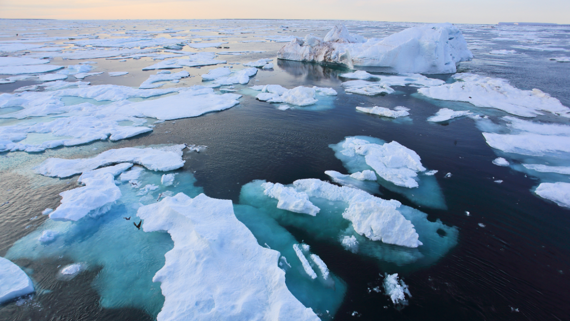 Ártico com a Swan Hellenic