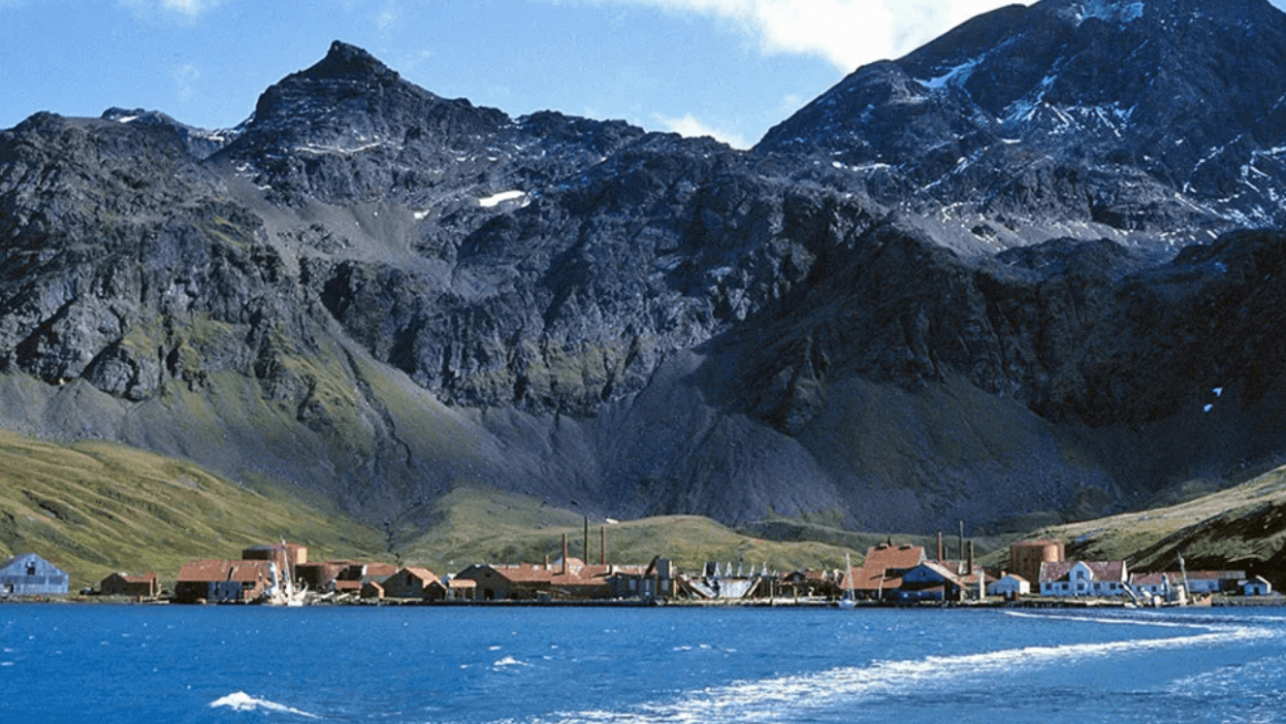 Ilha Geórgia do Sul