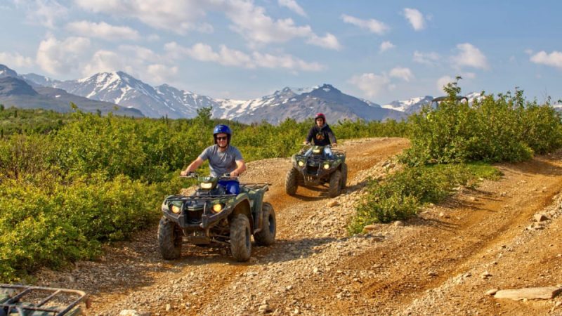 Passeio de Quadriciclo em Denali