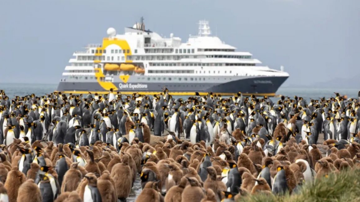 Incrível expedição na Antártica
