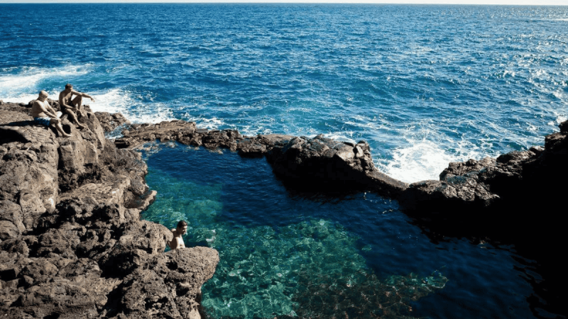 Las Damas, Las palmas