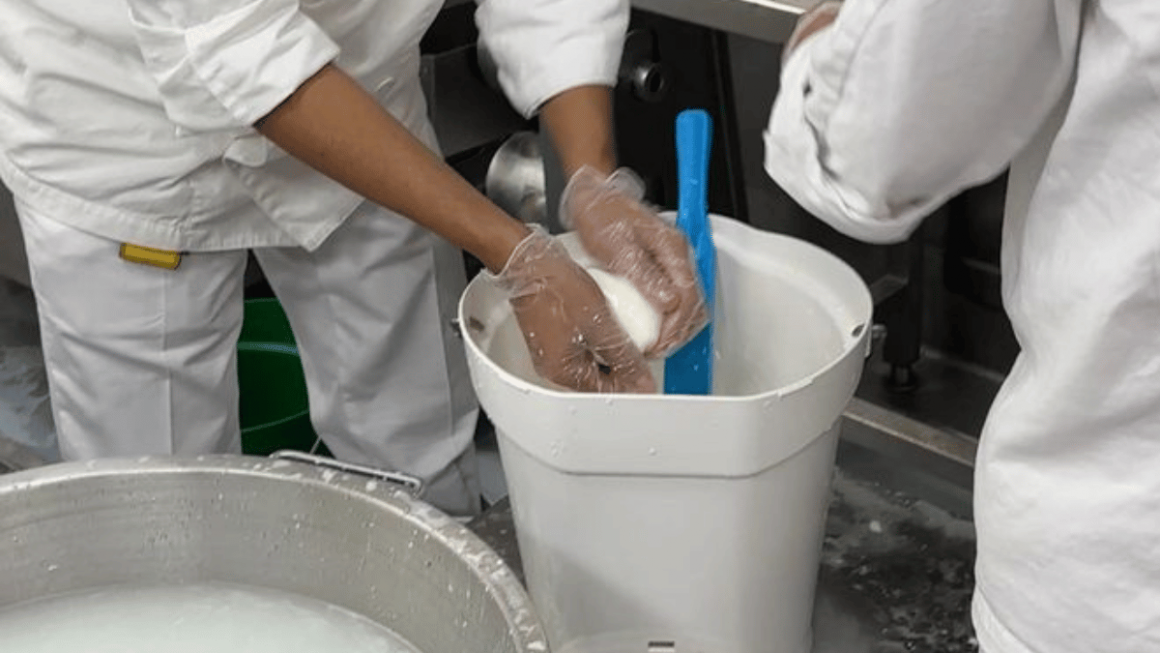 Produção de muçarela da Costa Cruzeiros