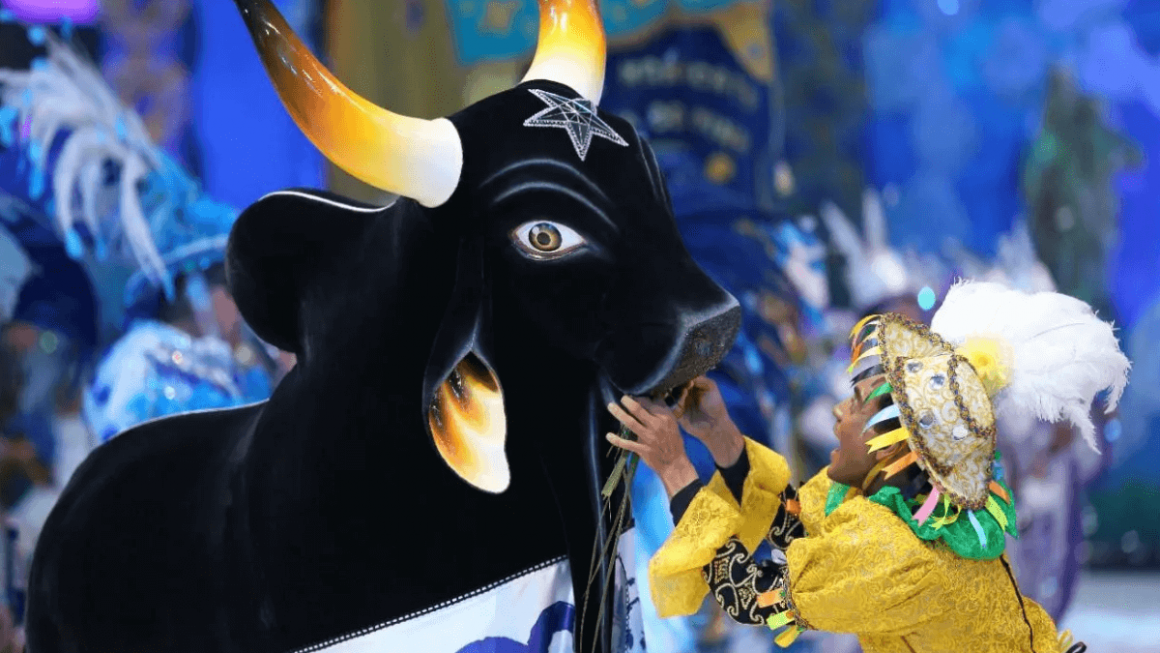 Boi-bumbá, festa tradicional amazonense