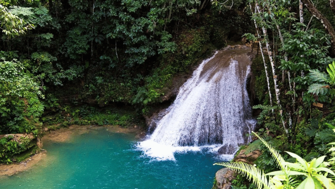 Opções de cachoeira nas excursões