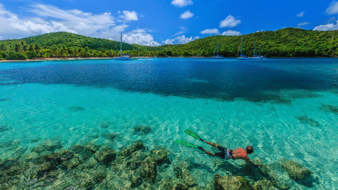 Snorkel