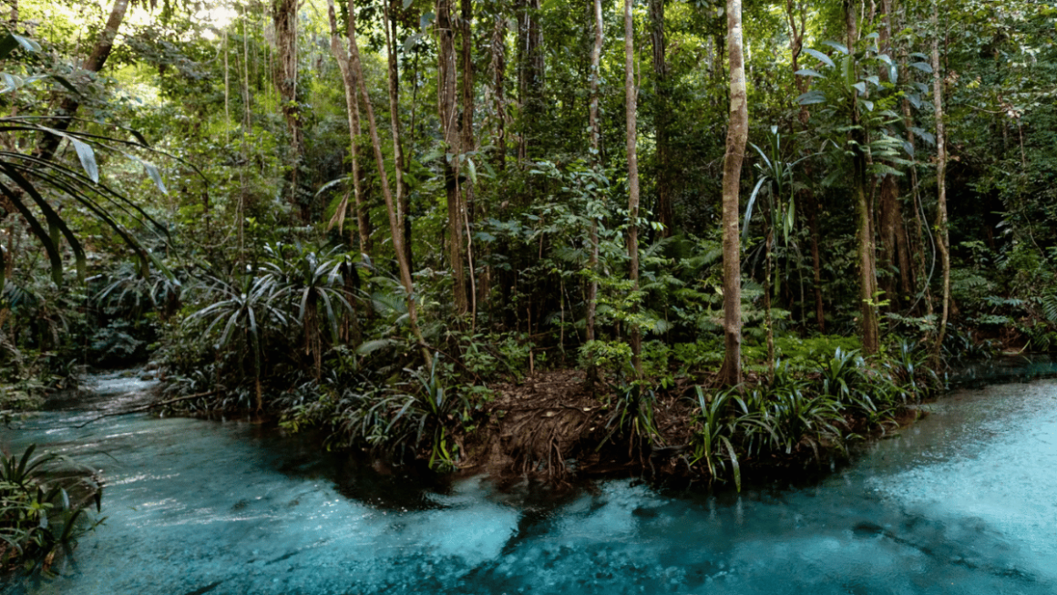 Nade no Rio Kali Biru