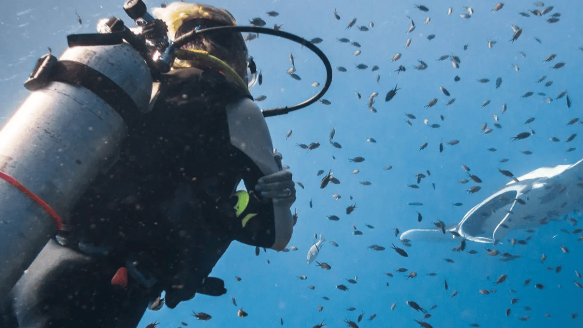 Mergulho com a Aqua Expeditions