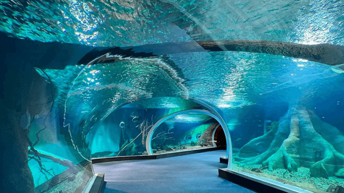 AquaRio 