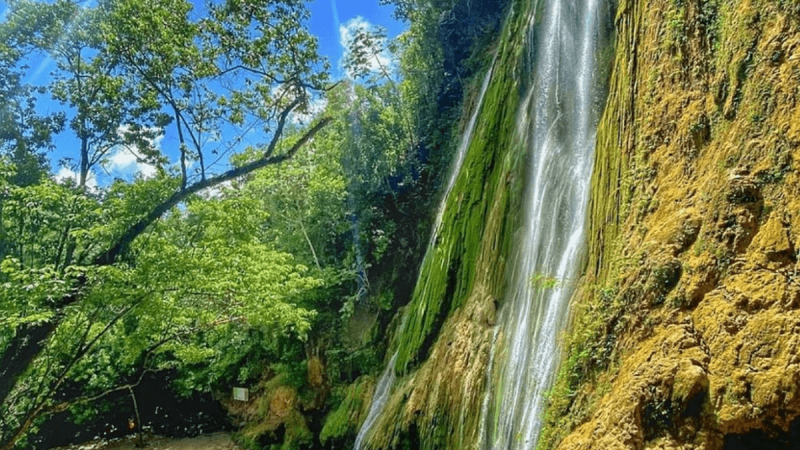 El Limón