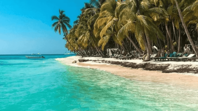 Isla Saona