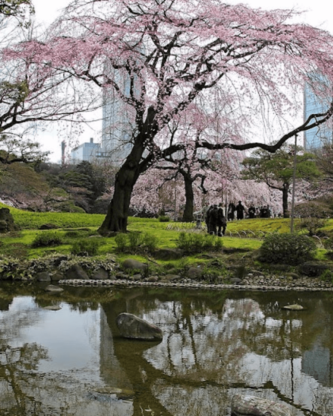 Kuritsu Sumida Park