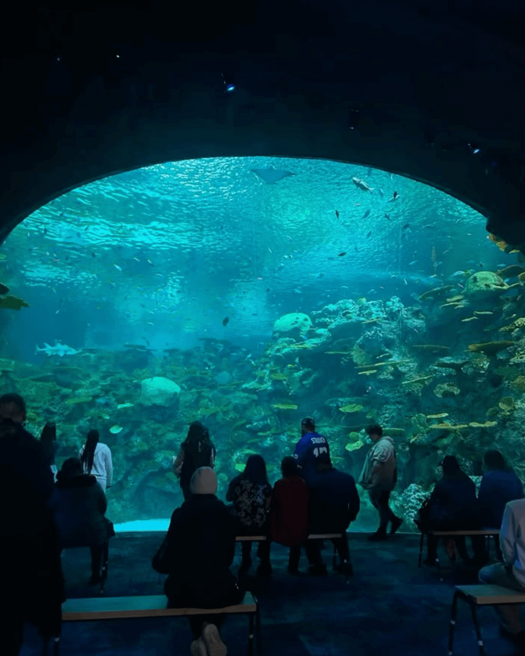 Seattle Aquarium