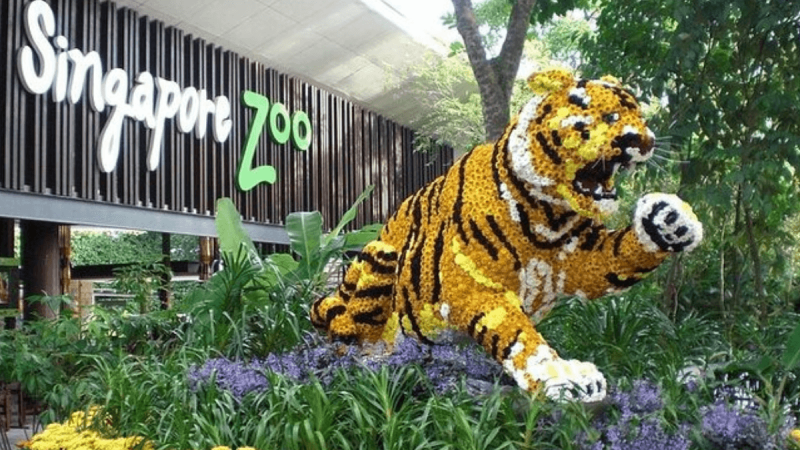 Zoológico de Singapura