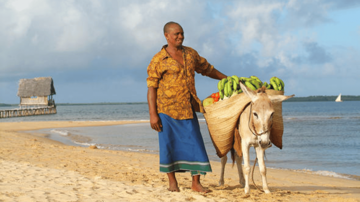Lamu Archipelago