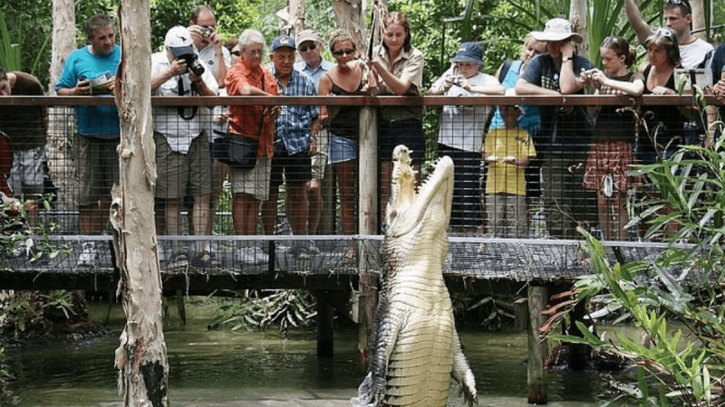 Fazenda de Crocodilos de Hartley