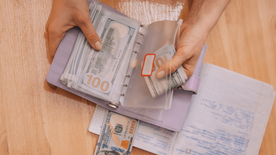 Organize suas finanças