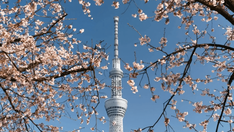 Tokyo Skytree