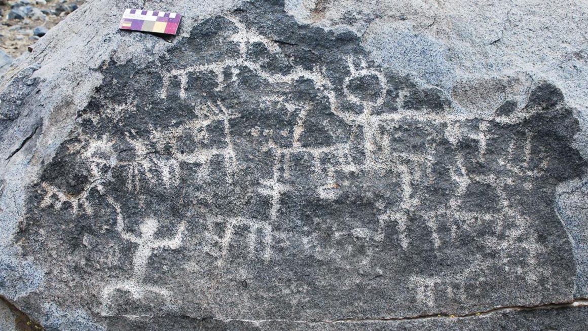 destino swan hellenic