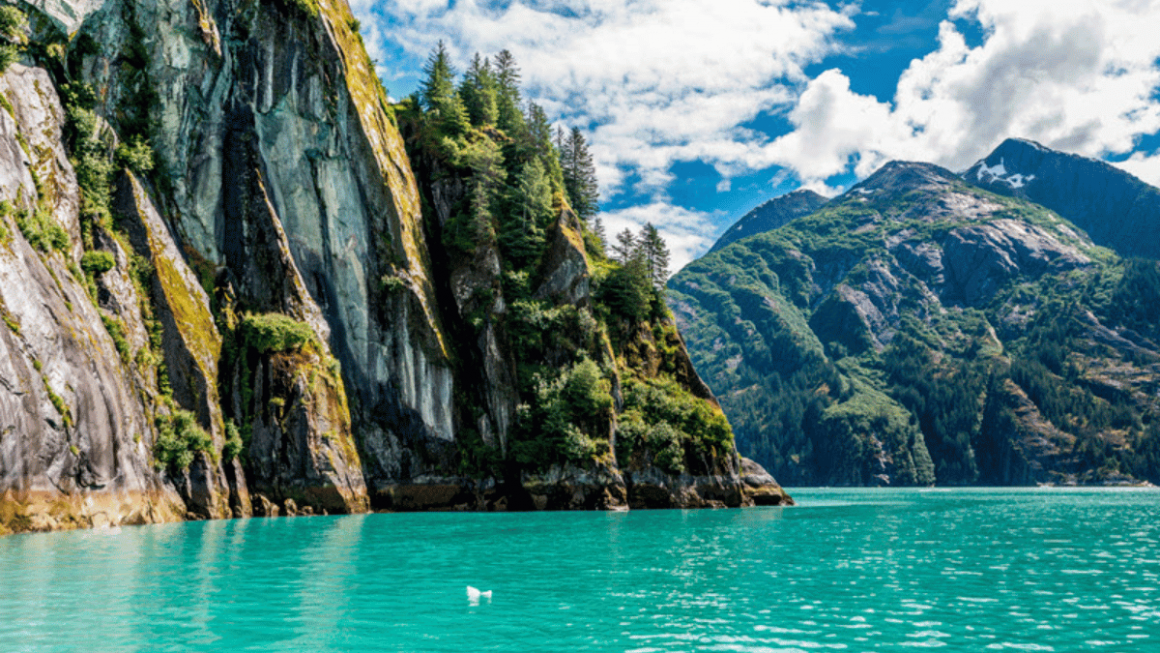 Tracy Arm, Alasca