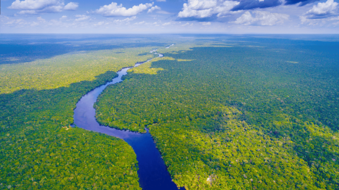 Amazônia